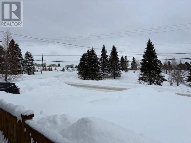 88 Ohio Drive, Stephenville, Newfoundland & Labrador  A2N 2V1 - Photo 39 - 1294200