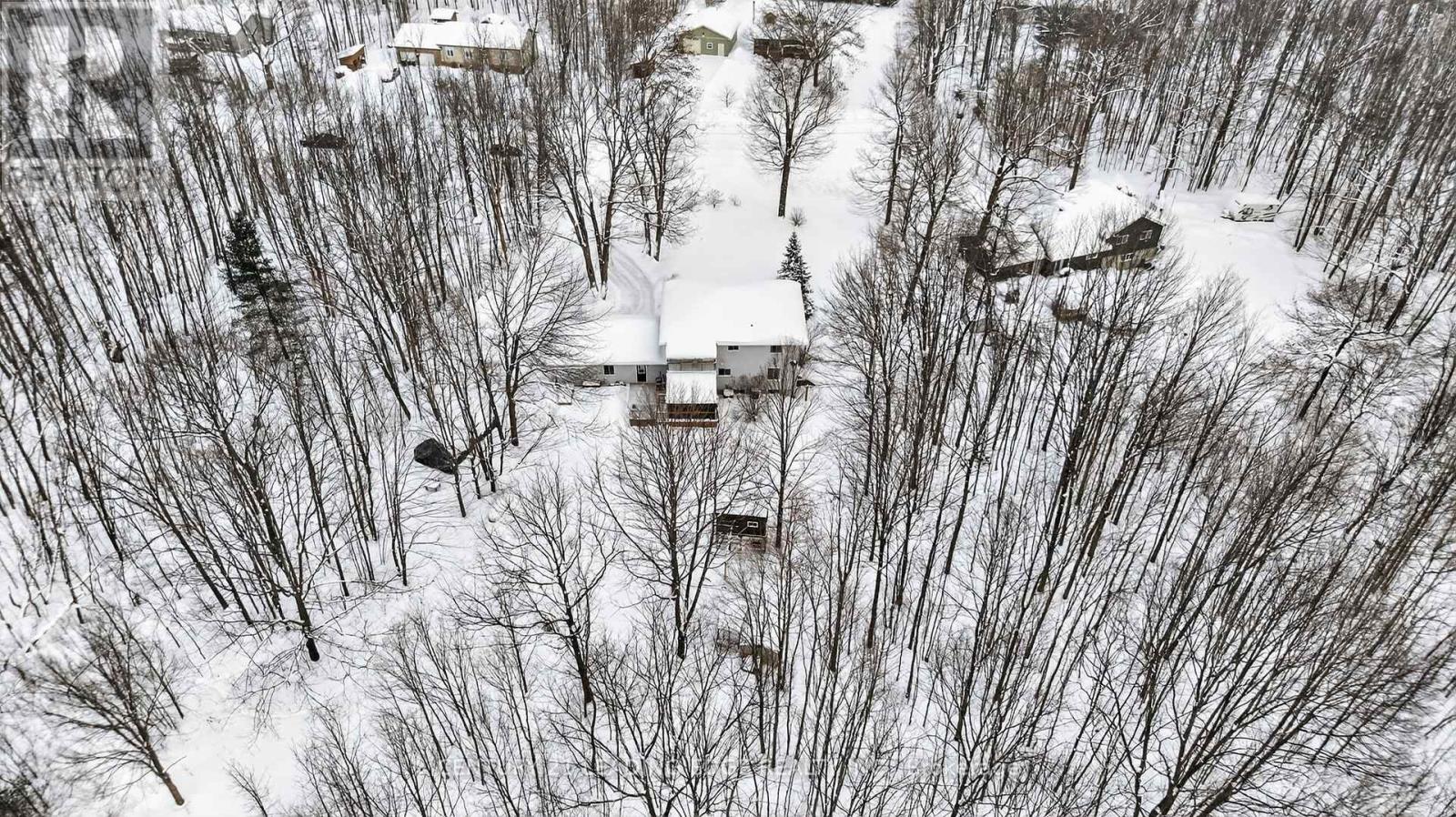 5810 Lowanda Lane, Ramara, Ontario  L0K 1W0 - Photo 50 - S12741890