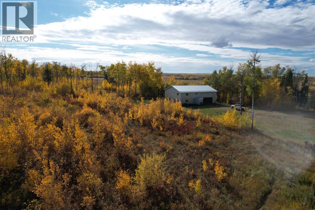 4081 Township Road 792, Rycroft, Alberta  T0H 3A0 - Photo 3 - A2262752