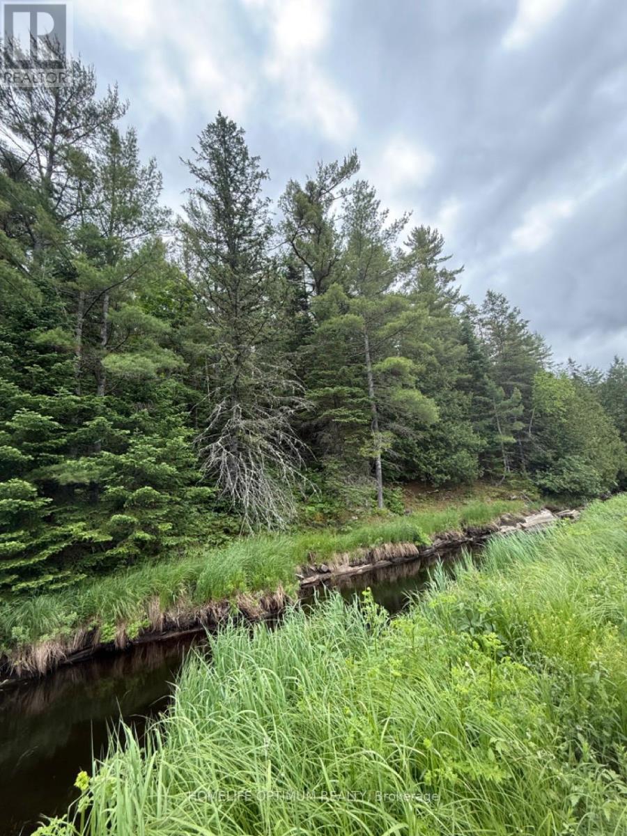 Lt 21 Con 10 N/a, Frontenac, Ontario  K0H 2R0 - Photo 2 - X12741976