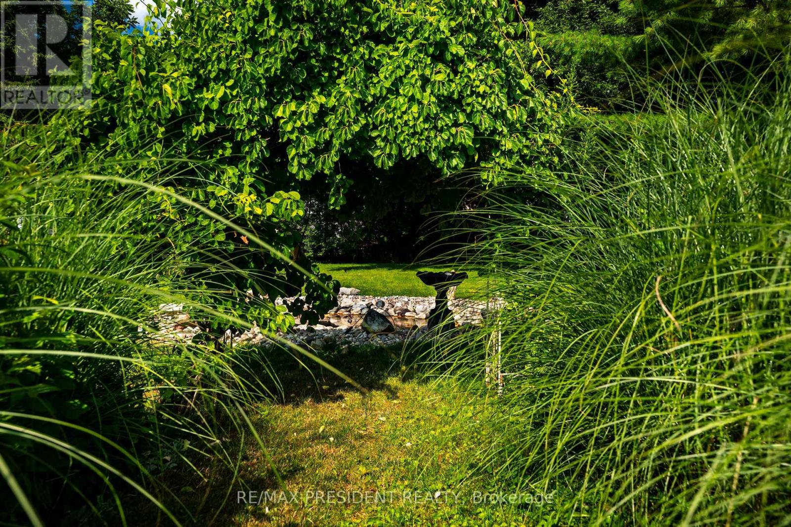 181 Edward Street, Wellington North, Ontario  N0G 1A0 - Photo 15 - X12742032