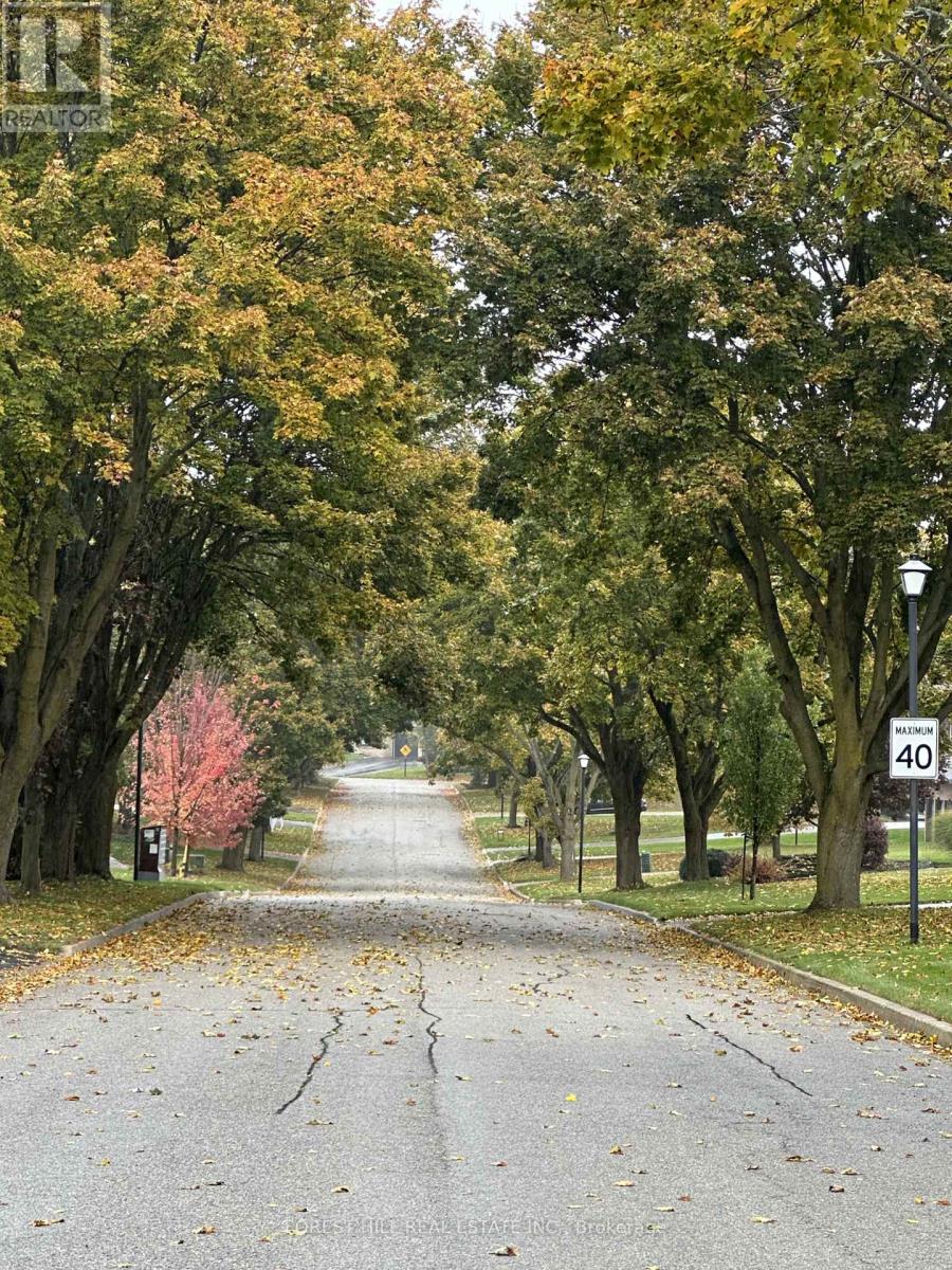 46 William Street, East Gwillimbury, Ontario  L0G 1V0 - Photo 26 - N12740818