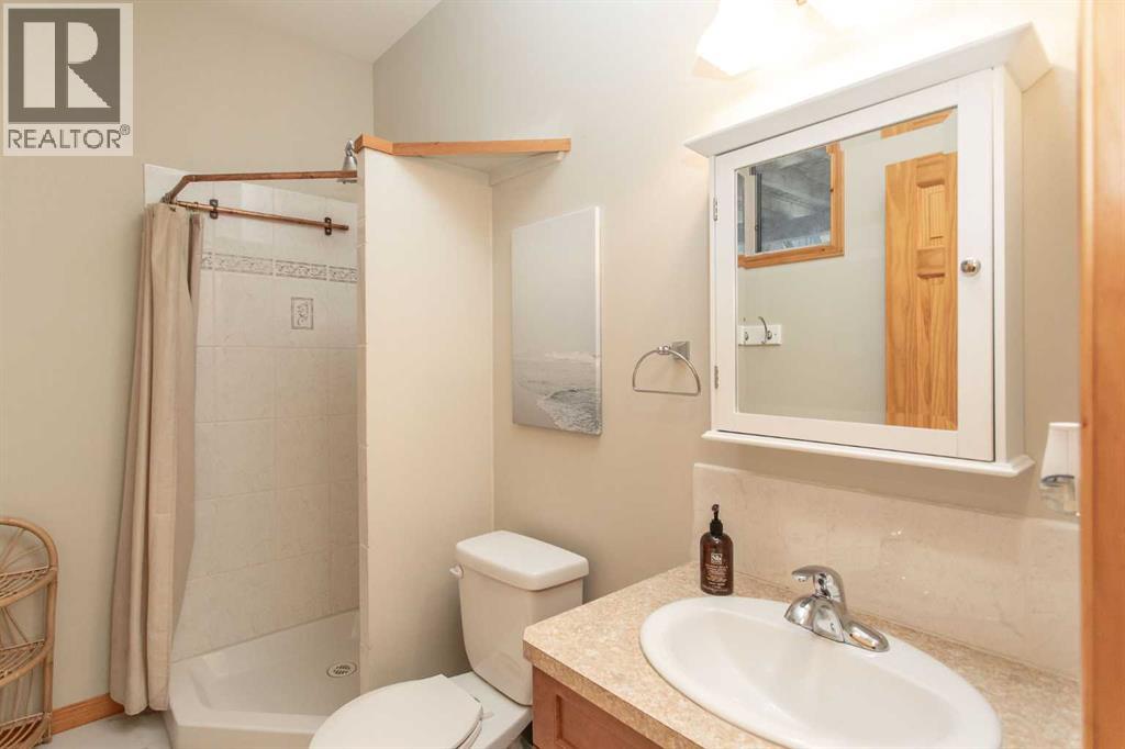 439 Summer Crescent, Rural Ponoka County, Alberta  T0C 2J0 - Photo 25 - A2255617