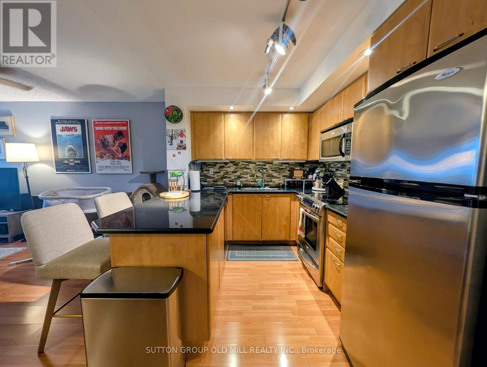 507 - 15 Stafford Street, Toronto, Ontario  M5V 3X6 - Photo 15 - C12742228