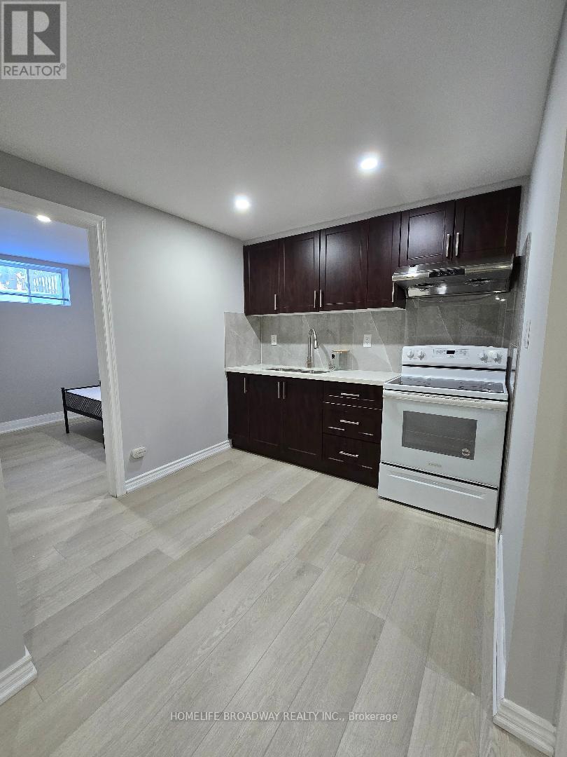 Bsmt - 81 Clearmeadow Boulevard, Newmarket, Ontario  L3X 2M6 - Photo 2 - N12731084