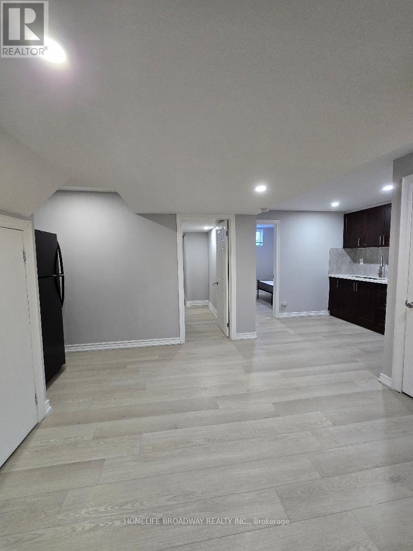 Bsmt - 81 Clearmeadow Boulevard, Newmarket, Ontario  L3X 2M6 - Photo 5 - N12731084