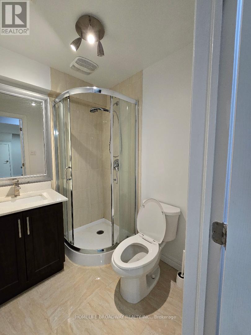 Bsmt - 81 Clearmeadow Boulevard, Newmarket, Ontario  L3X 2M6 - Photo 8 - N12731084