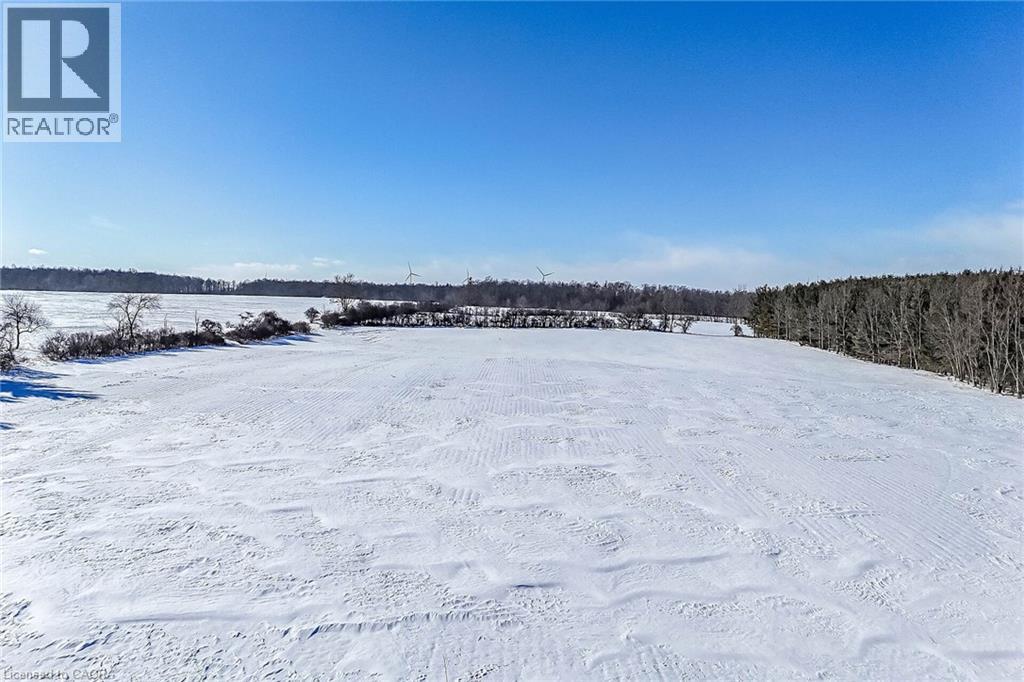 1631 River Road, Cayuga, Ontario  N0A 1E0 - Photo 44 - 40800607