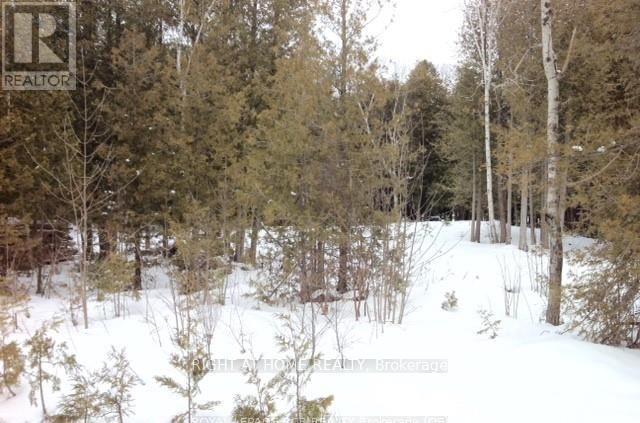 3 Oriole Avenue, South Bruce Peninsula, Ontario  N0H 2T0 - Photo 10 - X12742132