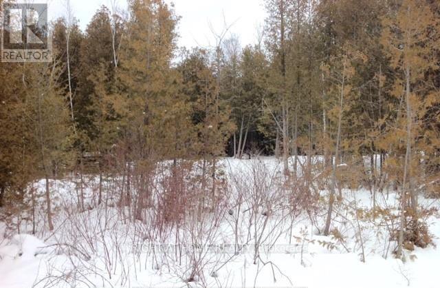 3 Oriole Avenue, South Bruce Peninsula, Ontario  N0H 2T0 - Photo 11 - X12742132