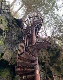 3 Oriole Avenue, South Bruce Peninsula, Ontario  N0H 2T0 - Photo 12 - X12742132