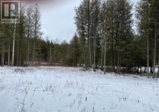 3 Oriole Avenue, South Bruce Peninsula, Ontario  N0H 2T0 - Photo 13 - X12742132