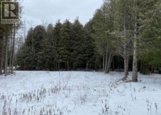 3 Oriole Avenue, South Bruce Peninsula, Ontario  N0H 2T0 - Photo 14 - X12742132