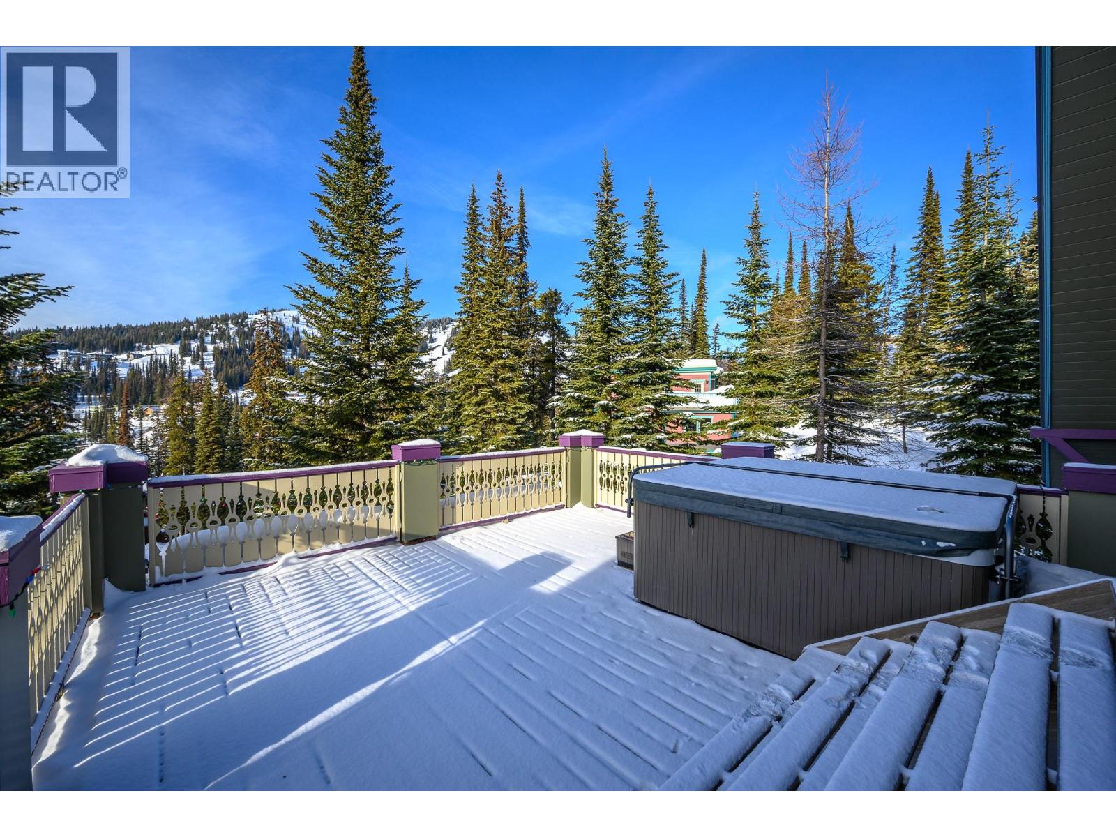 205 Monashee Road, Silver Star, British Columbia  V1B 0S5 - Photo 48 - 10374250