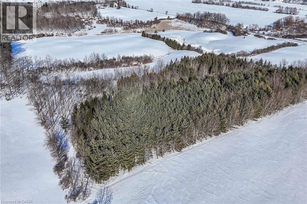 1631 River Road, Cayuga, Ontario  N0A 1E0 - Photo 43 - 40801888