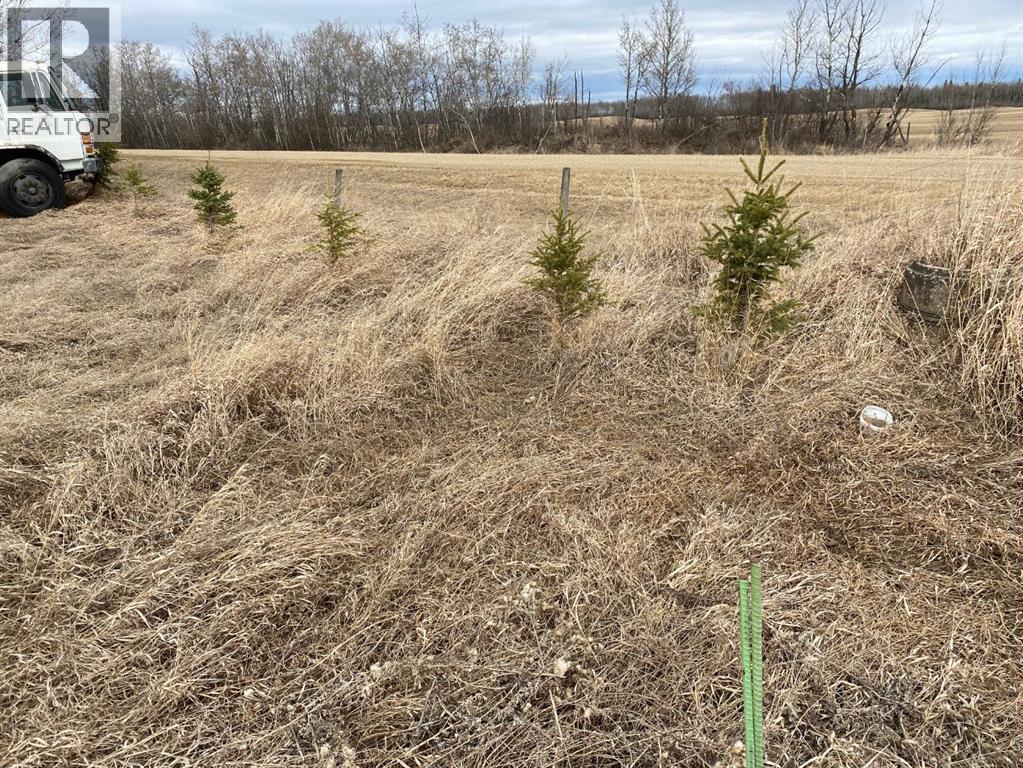 790006 Rge Rd 255, Rural Birch Hills County, Alberta  T0H 1H0 - Photo 16 - A2209644