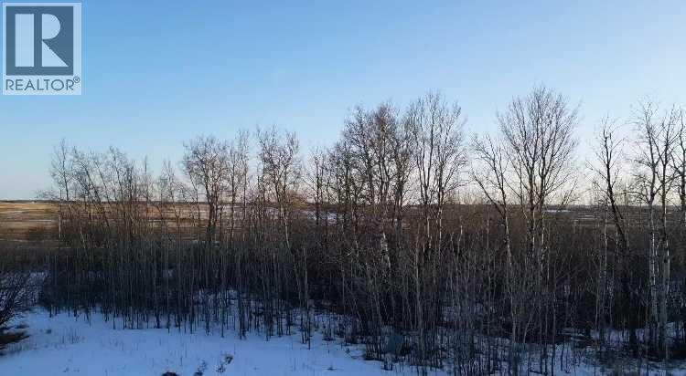 790006 Rge Rd 255, Rural Birch Hills County, Alberta  T0H 1H0 - Photo 19 - A2209644