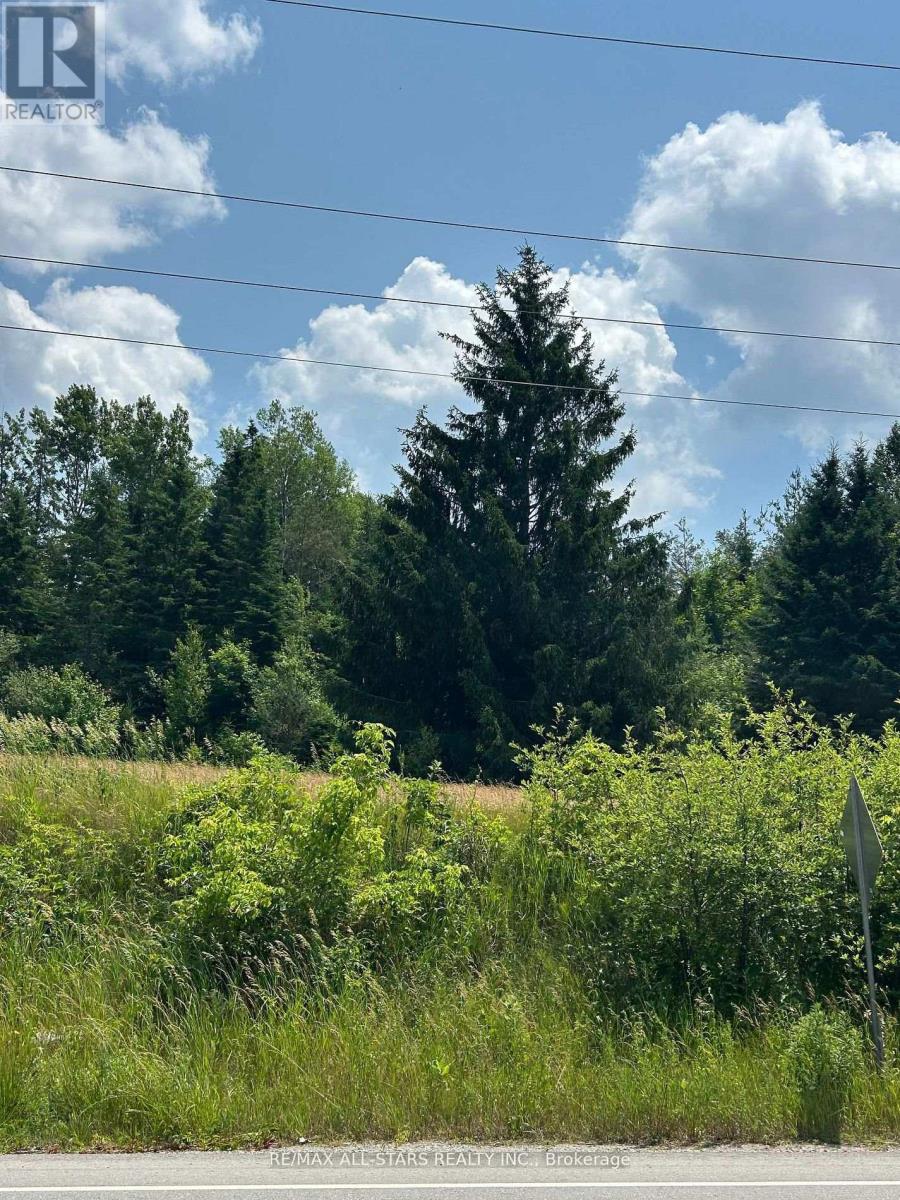 2 Thomas Street, Kawartha Lakes (Pontypool), Ontario  L0A 1K0 - Photo 7 - X12742328