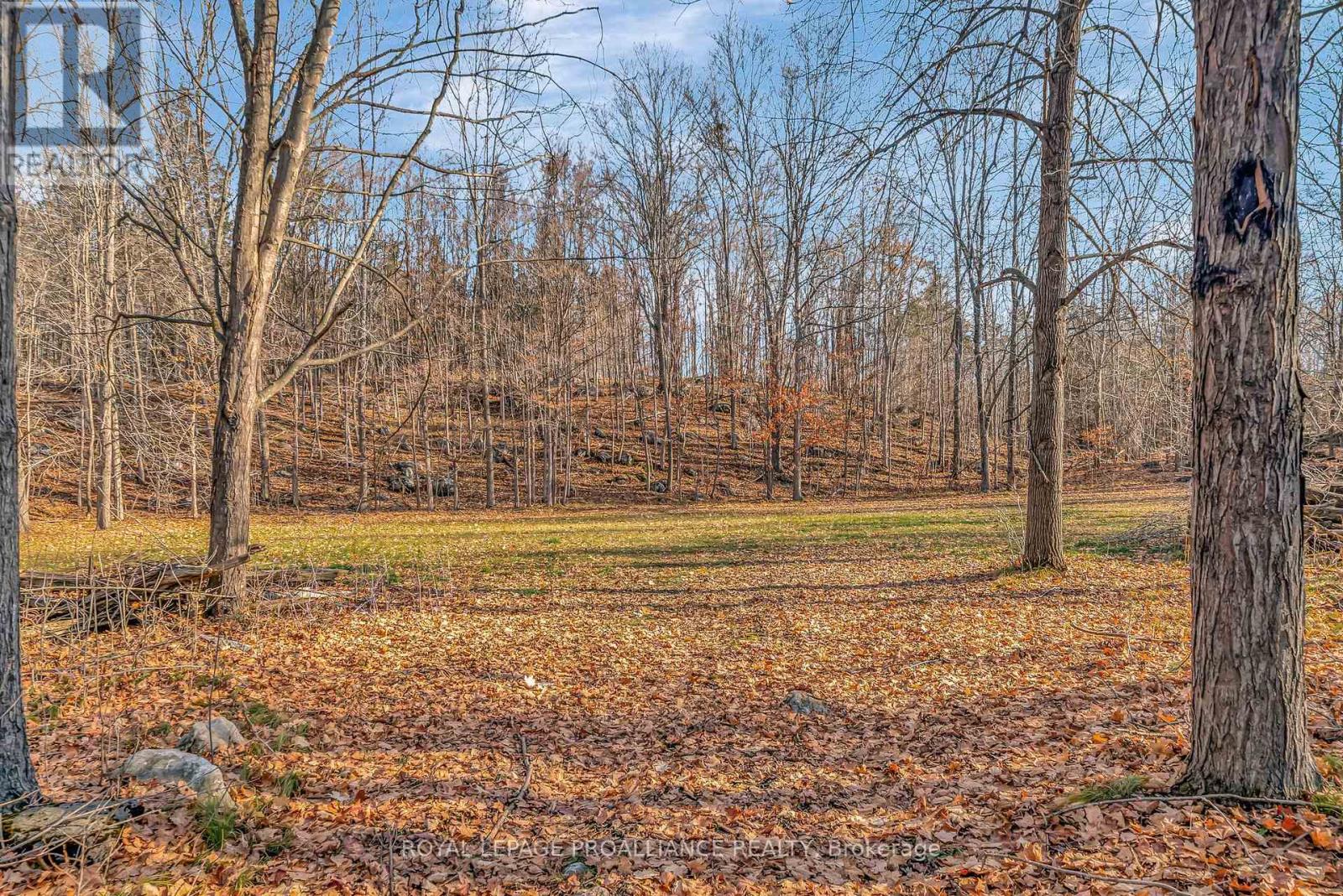 510 Moneymore Road, Tweed (Hungerford (Twp)), Ontario K0K 2Y0 - Photo 46 - X12742482