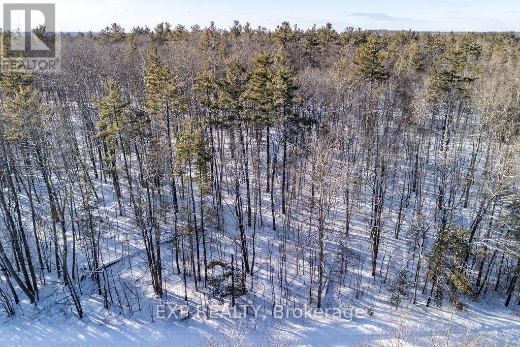 00 Mine View Road, Whitewater Region, Ontario  K0J 1Y0 - Photo 20 - X12742434