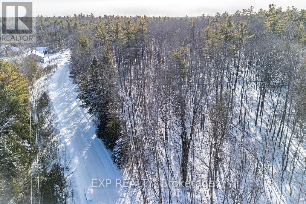 00 Mine View Road, Whitewater Region, Ontario  K0J 1Y0 - Photo 21 - X12742434