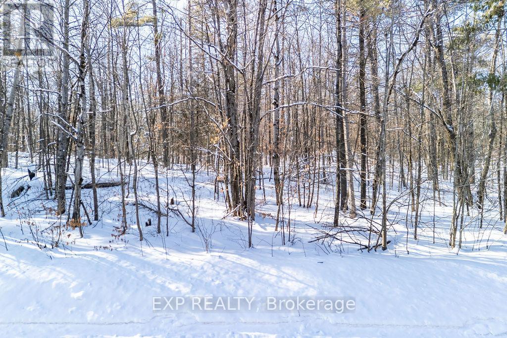 00 Mine View Road, Whitewater Region, Ontario  K0J 1Y0 - Photo 26 - X12742434