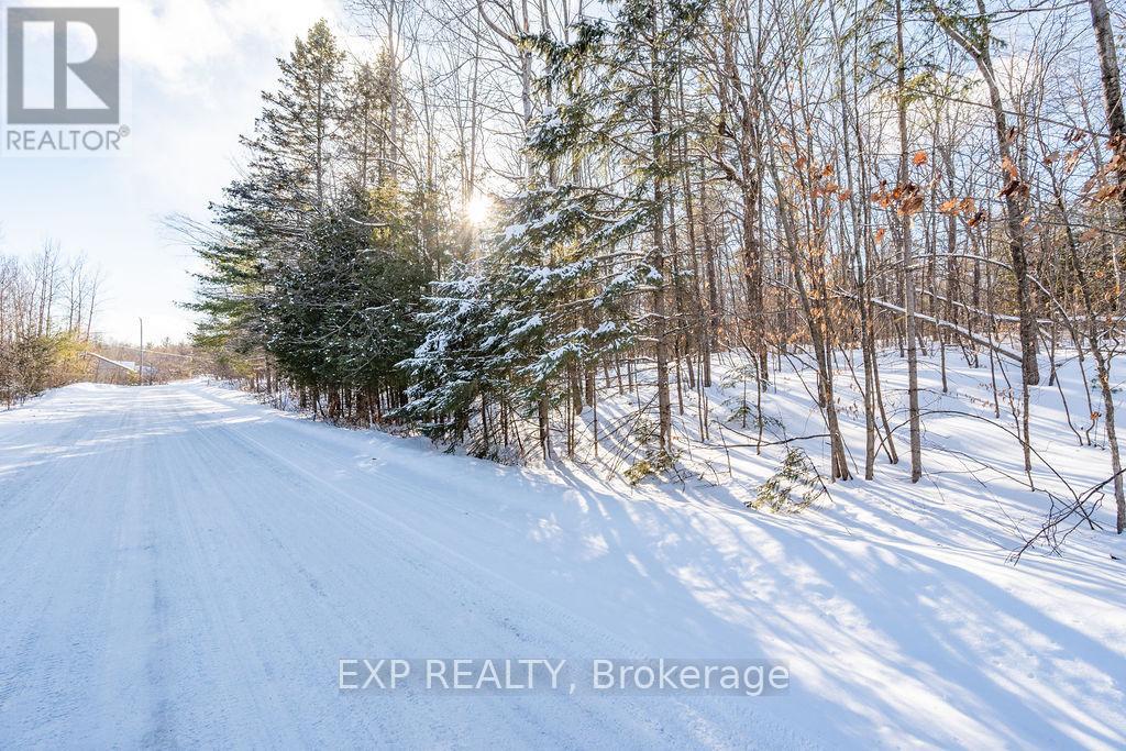 00 Mine View Road, Whitewater Region, Ontario  K0J 1Y0 - Photo 27 - X12742434