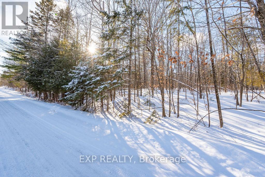 00 Mine View Road, Whitewater Region, Ontario  K0J 1Y0 - Photo 28 - X12742434