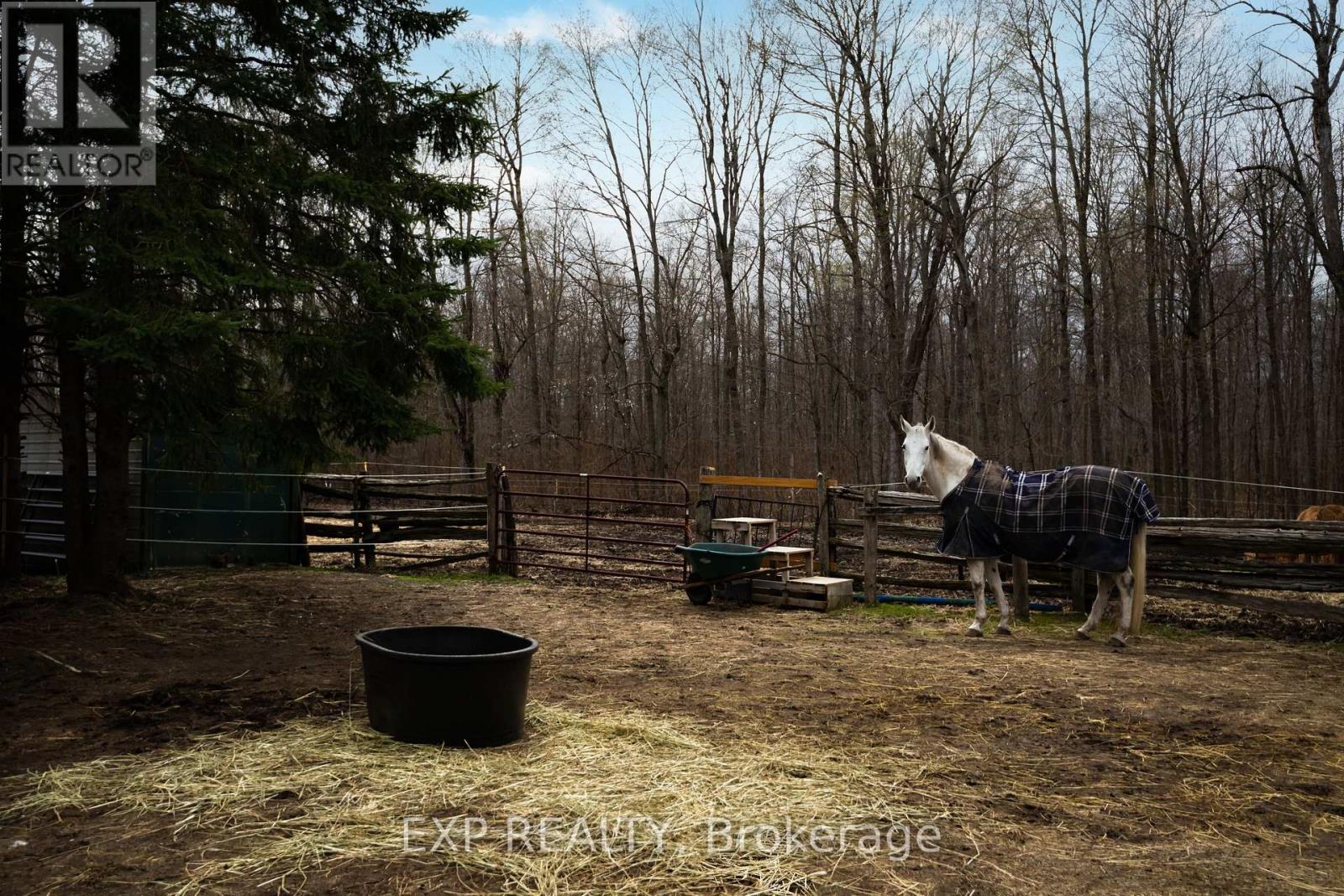 506086 Highway 89 Highway, Mono, Ontario  L9V 1H7 - Photo 6 - X12742312