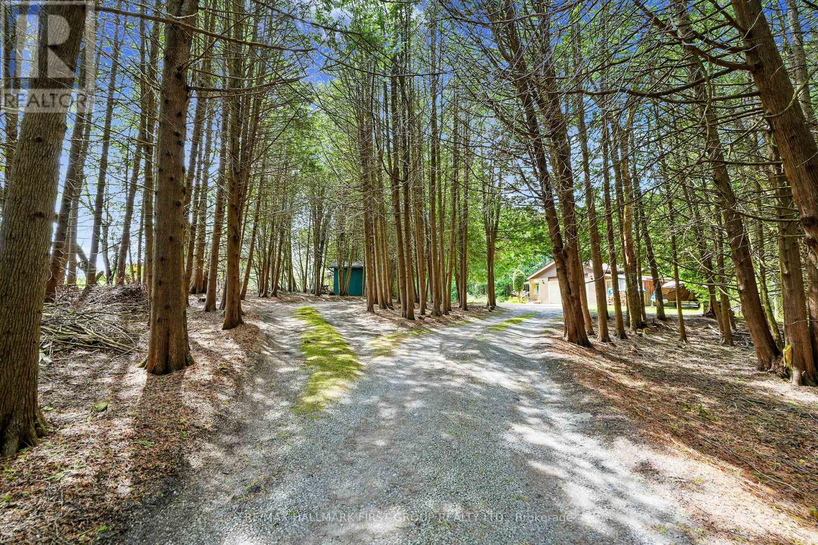 6200 Campbell Road, Port Hope, Ontario  L1A 3V8 - Photo 45 - X12742324