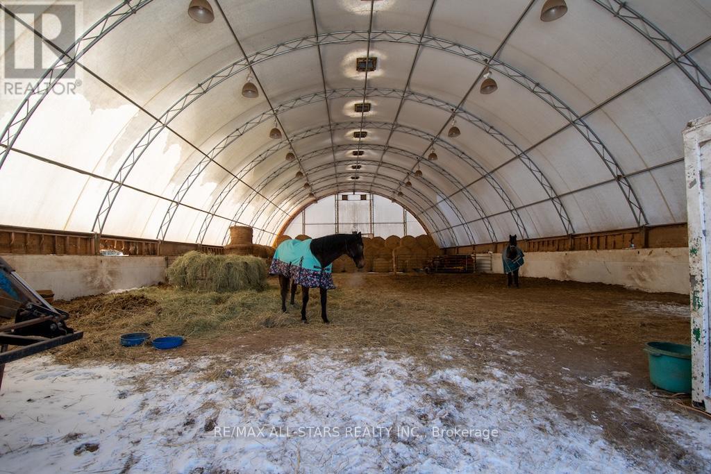 1185 Sturgeon Road, Kawartha Lakes (Emily), Ontario  K9V 4R8 - Photo 42 - X12742564