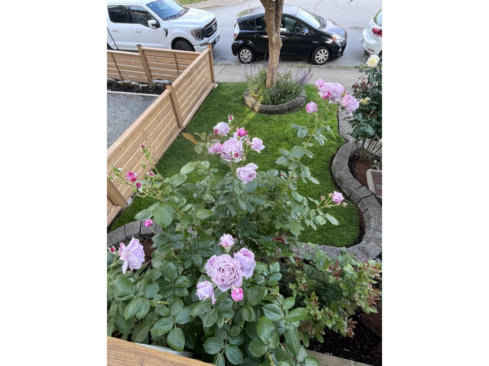 5776 149 Street, Surrey, British Columbia V3S 8W4 - Photo 4 - R3084570