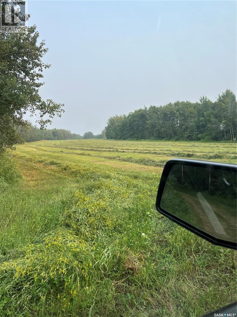 Tobin Lake Waterfront, Torch River Rm No. 488, Saskatchewan  S0E 1E0 - Photo 8 - SK027636