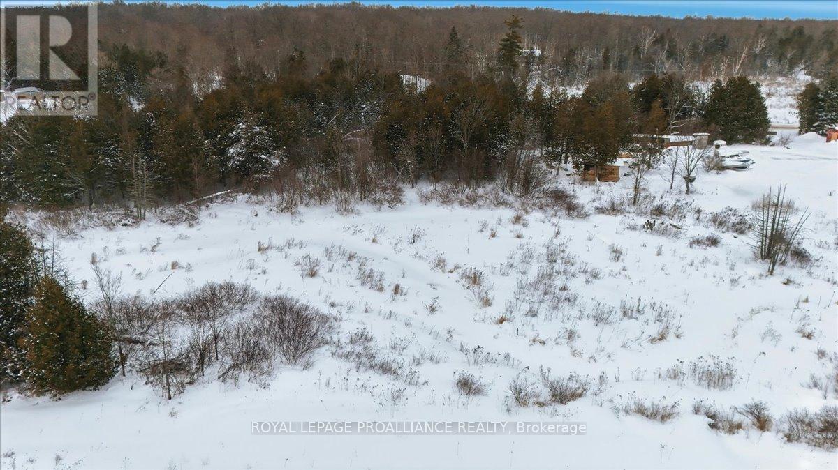 1442 Quin Mo Lac Road, Tweed (Hungerford (Twp)), Ontario  K0K 3J0 - Photo 43 - X12742682