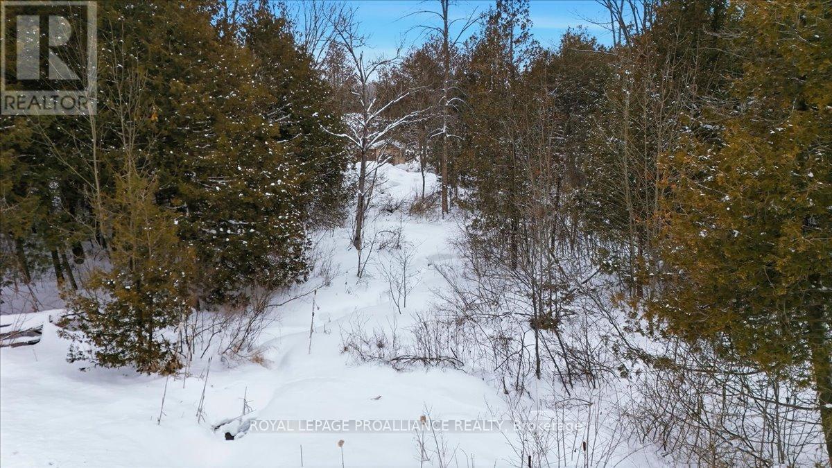 1442 Quin Mo Lac Road, Tweed (Hungerford (Twp)), Ontario  K0K 3J0 - Photo 48 - X12742682