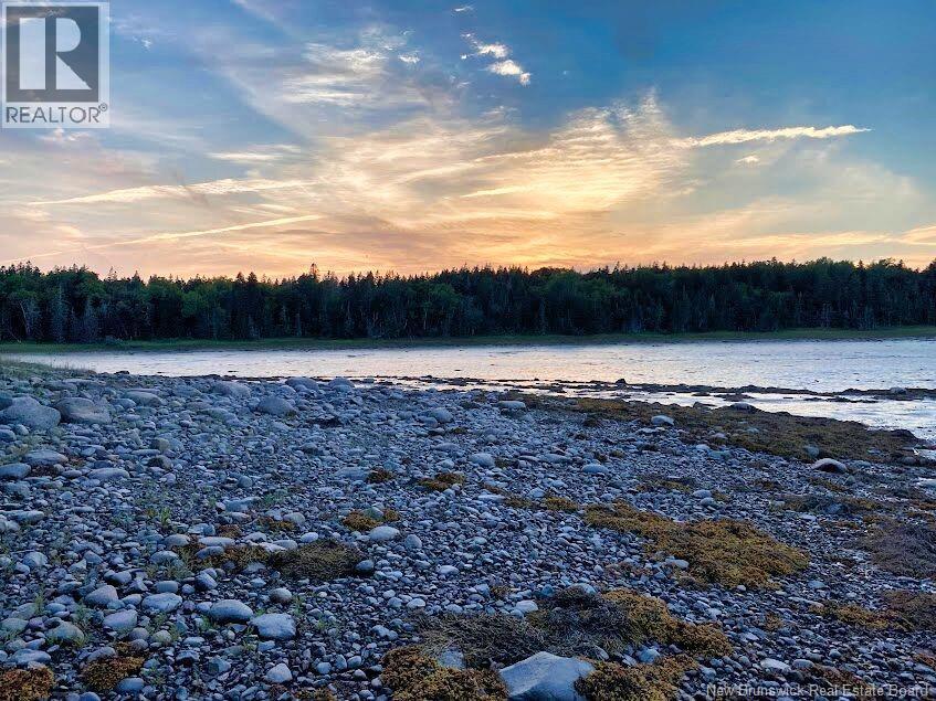929 Route 774, Welshpool, New Brunswick  E5E 1B1 - Photo 2 - NB132931