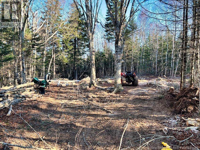 929 Route 774, Welshpool, New Brunswick  E5E 1B1 - Photo 8 - NB132931