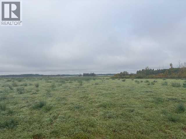 Ne 35-54-21 W3, Rural, Saskatchewan  S0M 1Y0 - Photo 9 - A2267950