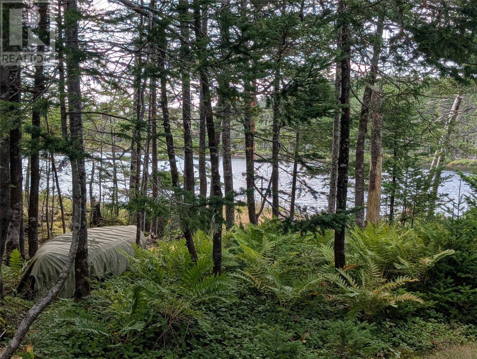 1 Vineland Road, Salmonier, Newfoundland & Labrador  A0B 2M0 - Photo 21 - 1294210