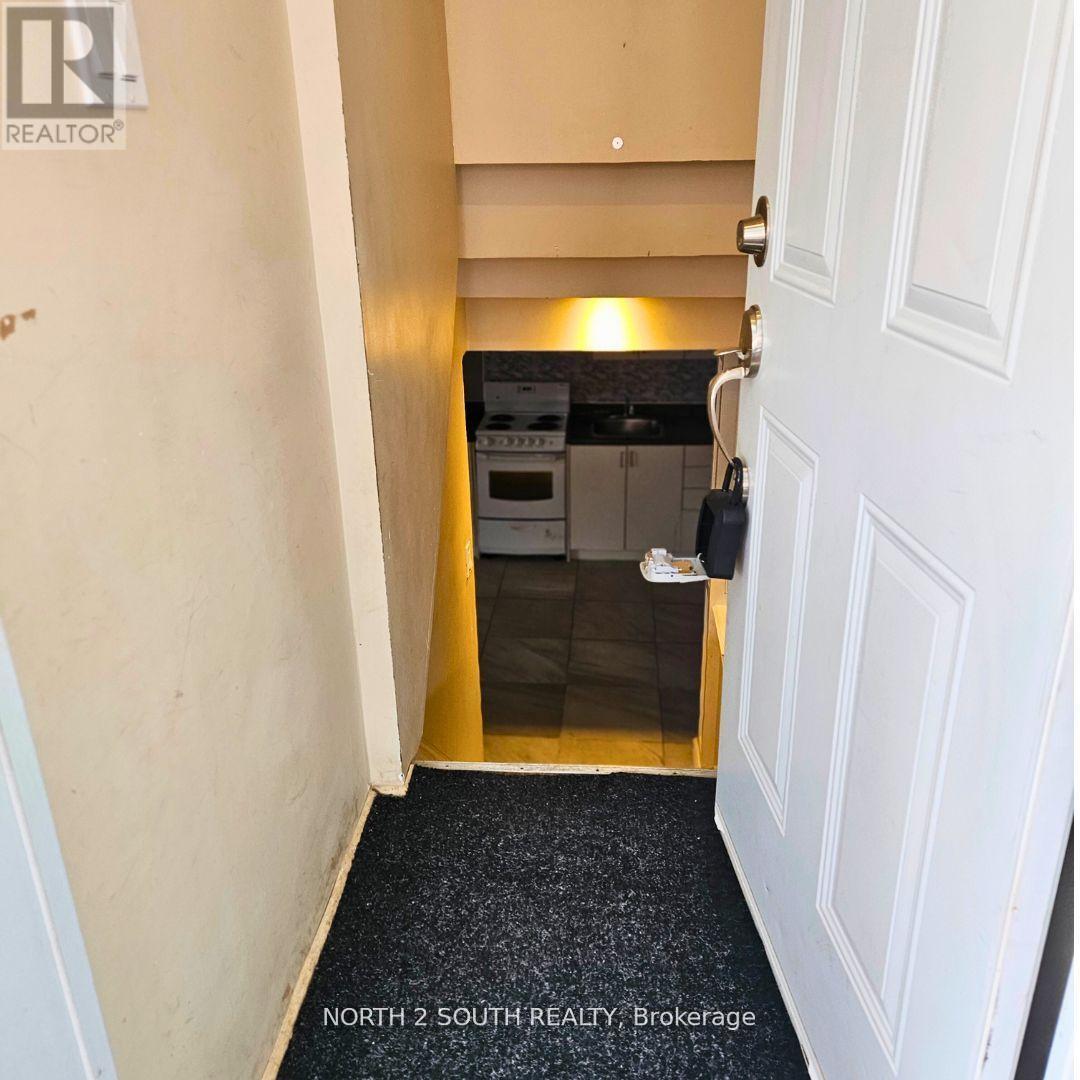 Lower - 397 Terry Drive, Newmarket, Ontario  L3Y 5E3 - Photo 3 - N12732912