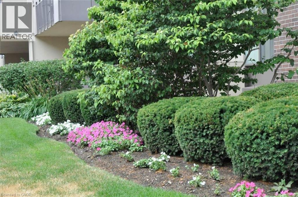 301 Frances Avenue Unit# 405, Stoney Creek, Ontario L8E 3W6 - Photo 38 - 40801921