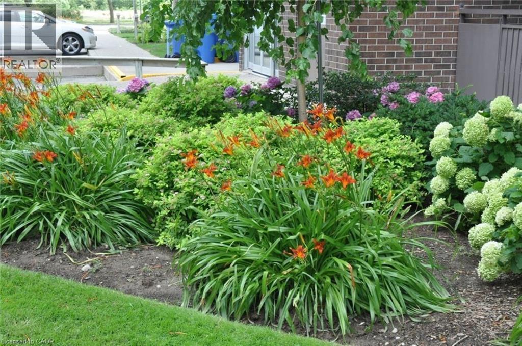 301 Frances Avenue Unit# 405, Stoney Creek, Ontario L8E 3W6 - Photo 39 - 40801921