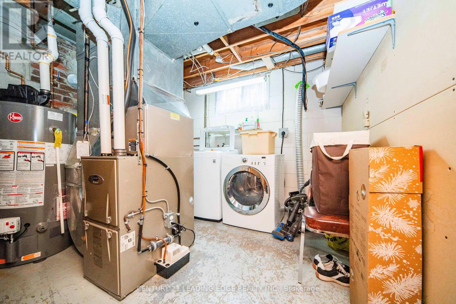 206 Cass Avenue, Toronto, Ontario  M1T 2C2 - Photo 37 - E12742874