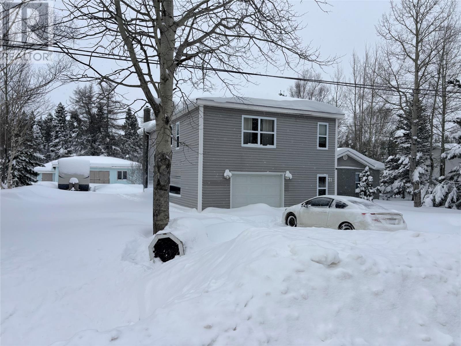 31 Main Street, Embree, Newfoundland & Labrador  A0G 3A0 - Photo 4 - 1294167