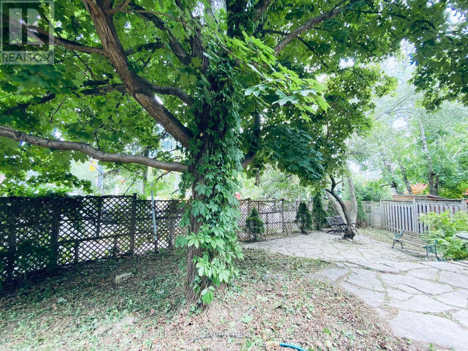 Bsmt - 256 Oriole Parkway, Toronto, Ontario  M5P 2H1 - Photo 3 - C12742934