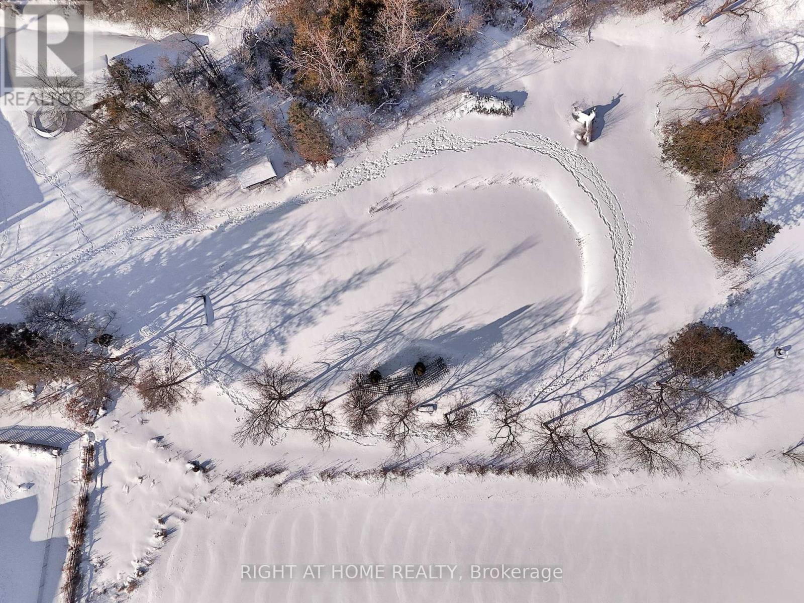 424 Bridle Road, Kawartha Lakes, Ontario  K9V 4R2 - Photo 3 - X12742944