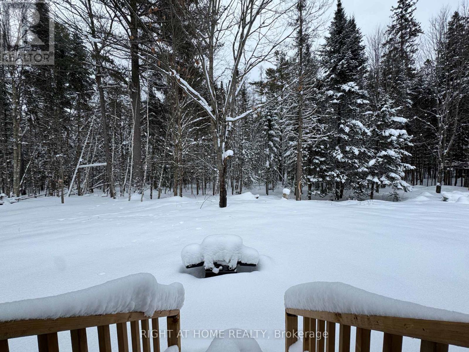 67 Bridgedale Crescent, Huntsville, Ontario  P0B 1L0 - Photo 11 - X12743080