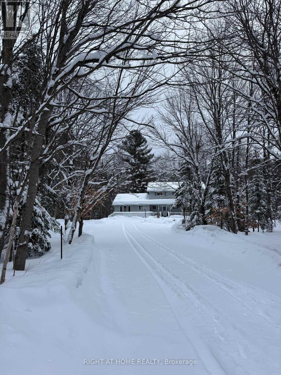 67 Bridgedale Crescent, Huntsville, Ontario  P0B 1L0 - Photo 3 - X12743080