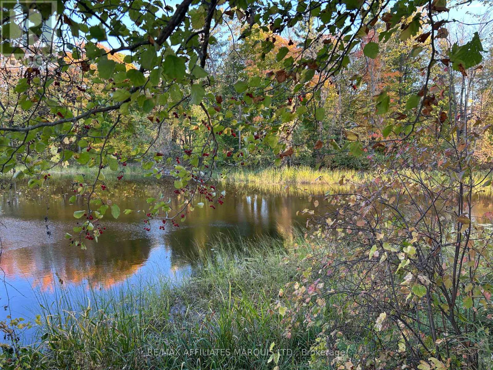 Lot County Road 17 Road, South Glengarry, Ontario  K0C 2J0 - Photo 2 - X12743218