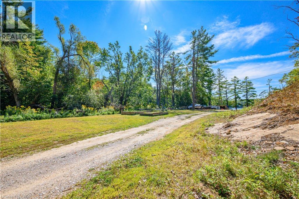 1230 Forsters Road, Minden Hills, Ontario  K0M 2K0 - Photo 7 - 40773377